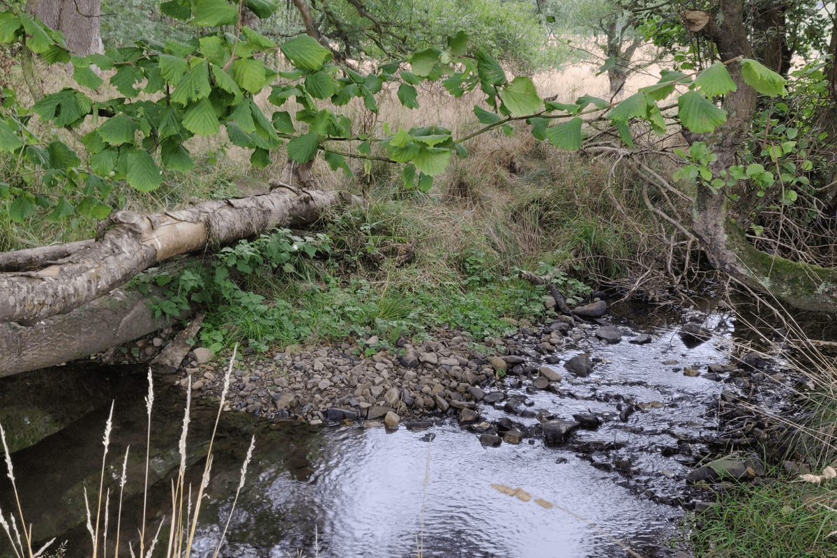 Photo by Lizzie Hulton-Harrop