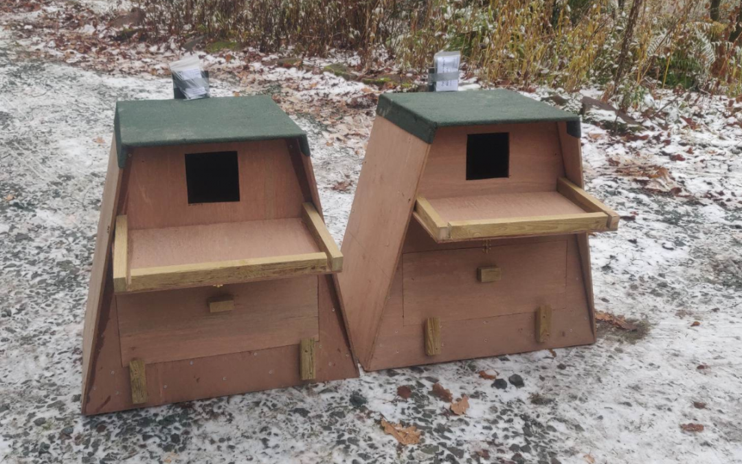 Owl boxes