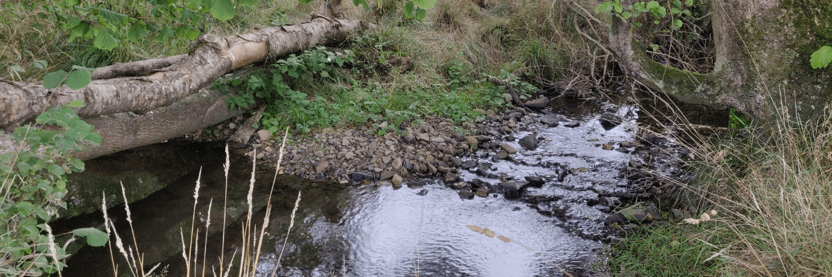 Water quality project