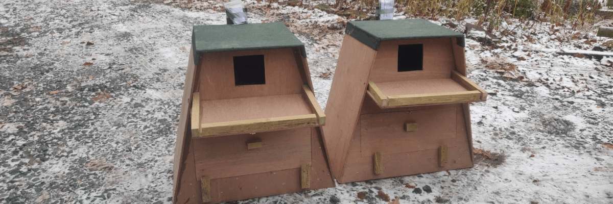 Owl boxes