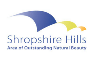 Untitled design (4) (1)